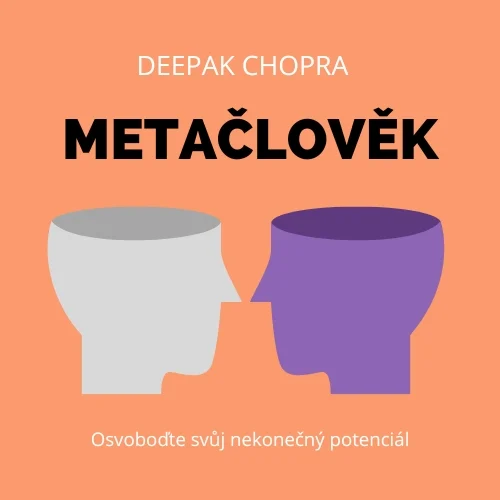 Metačlověk - obálka knihy